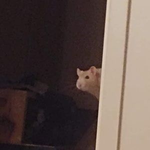 One large box of tightly packed clothes random